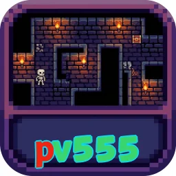 pv555